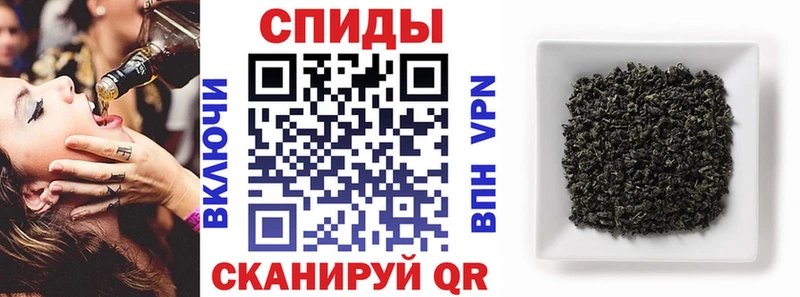 закладки  Рошаль  БУТИРАТ 1.4BDO 