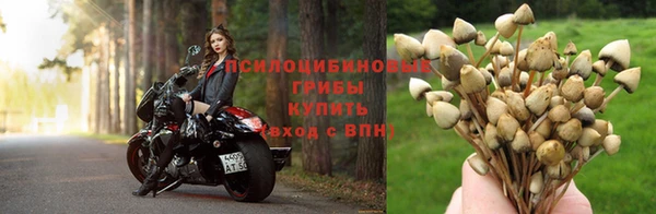 mix Кодинск