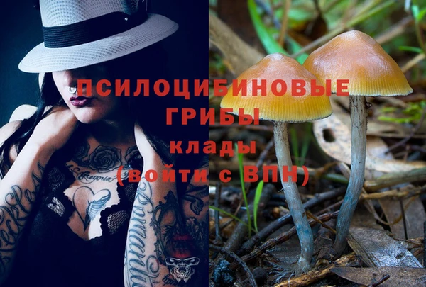 Альфа ПВП Козельск