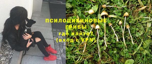 mix Кодинск