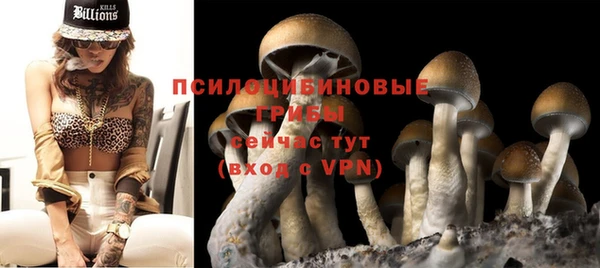 Альфа ПВП Козельск