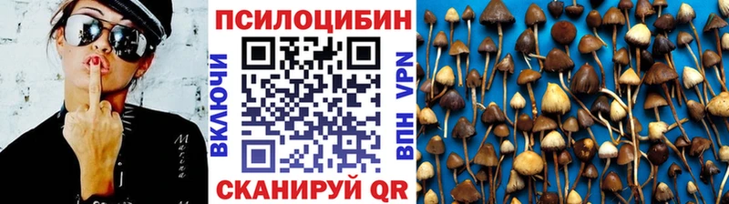 Псилоцибиновые грибы мухоморы  Рошаль 